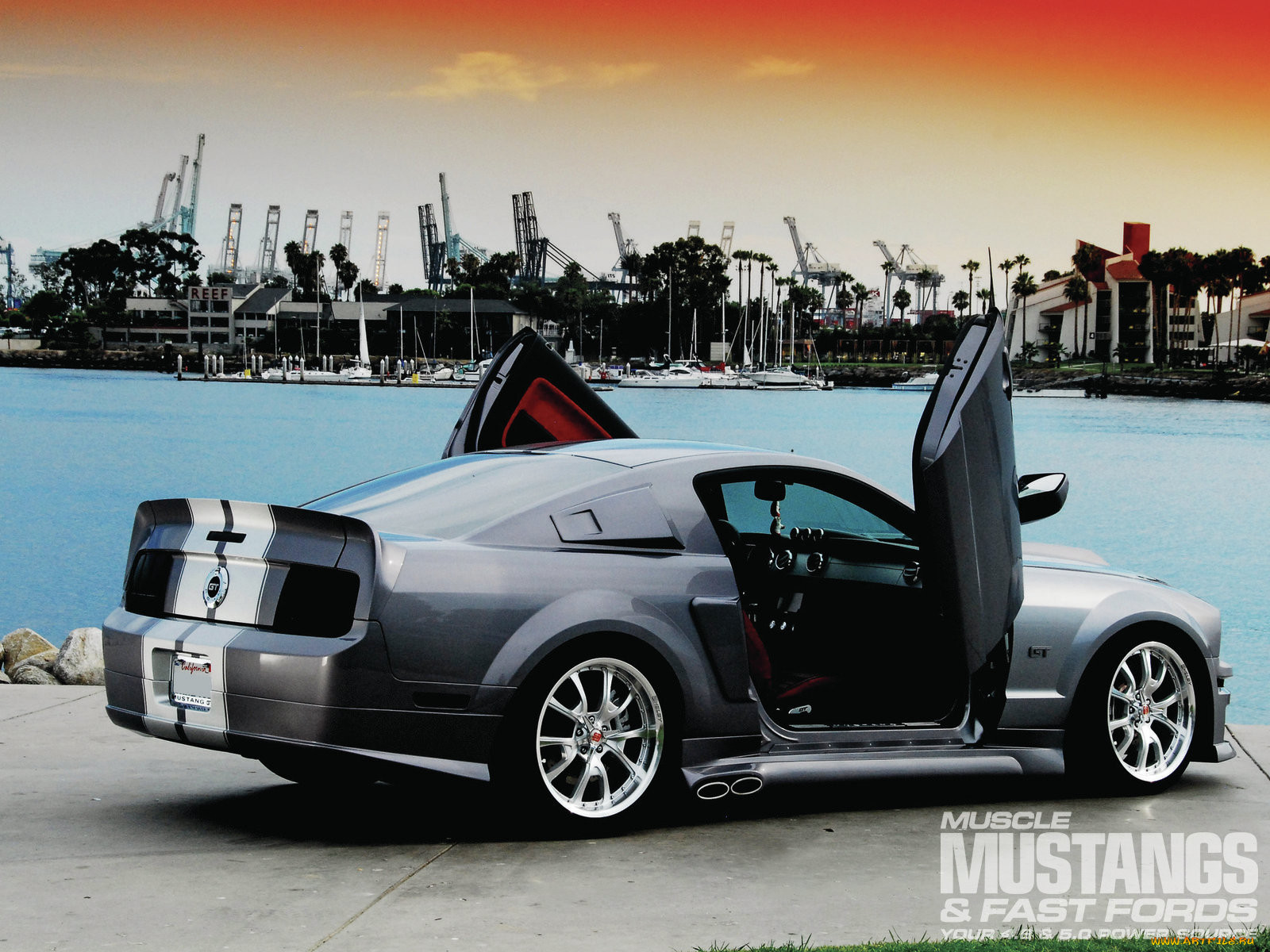 , mustang, ford